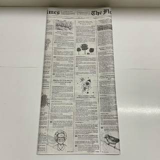 Papel Kraft Jornal Branco 59x80cm - Pacote c/50 folhas